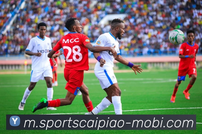 大发彩票平台生态图