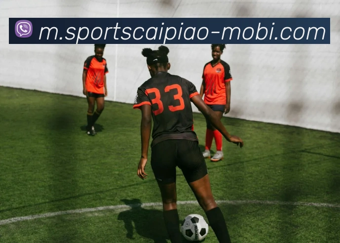 大发彩票全站App