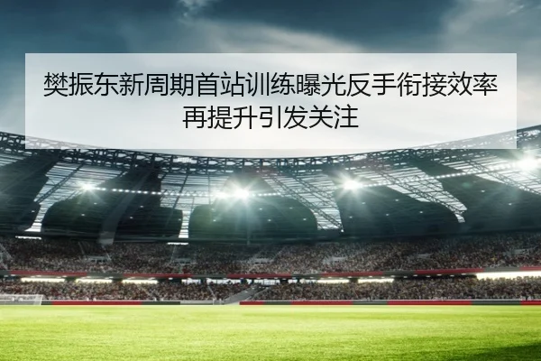 樊振东新周期首站训练曝光反手衔接效率再提升引发关注(dafabet)